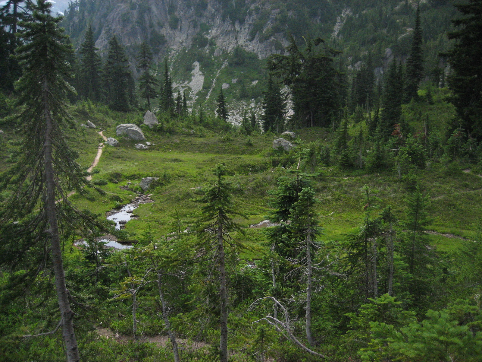 Green Valley and Mountain